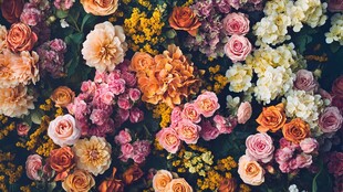 高清鲜花墙