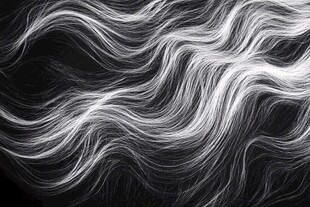 黑白色毛发背景