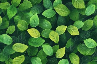 高清绿叶背景图片