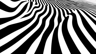 黑白斑马纹线状