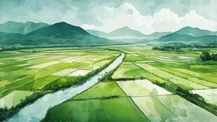 稻田风景插画