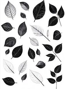 创意手绘树叶标本