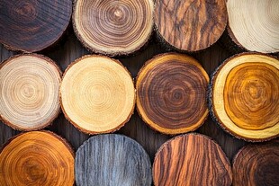 圆形木桩背景图