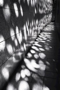 地面树荫墙根阴影