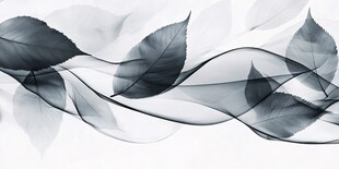 唯美线条桌面背景