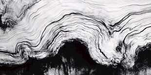 黑白流体创意抽象画