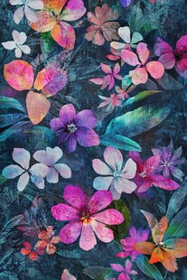 幻彩炫彩花朵