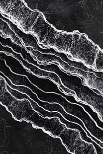 抽象黑白石根线条