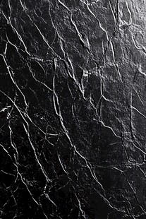 抽象黑白石根线条