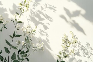 满天星花枝光影