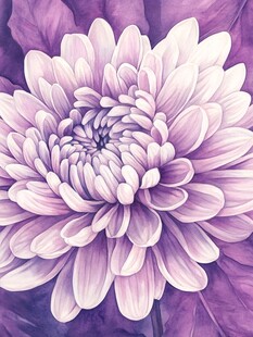 紫色大丽花油画