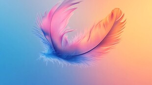 绚丽多彩渐变风