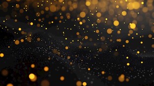 质感黑金色年会