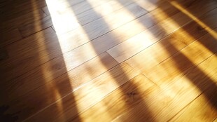 光影洒射在地板上