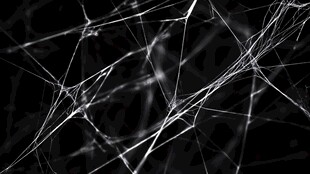 抽象唯美黑白线条丝线