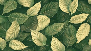 树叶墙纸树叶素材