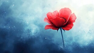 梦幻浪漫唯美花朵