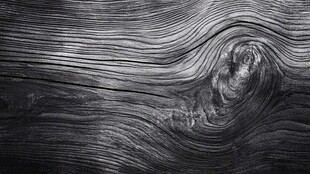 黑白枯木纹纹理