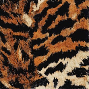 毛皮动物鬃毛布匹印花