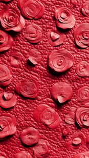 浮雕花卉与爱心红色