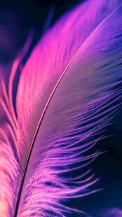 蓝紫色桌面壁纸