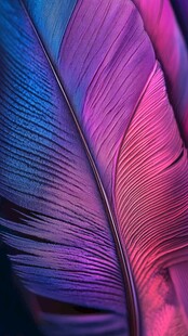 绚丽多彩渐变风