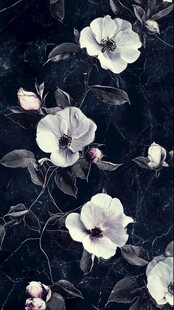 蓝黑背景桃花