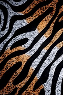 创意斑马皮纹