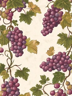 葡萄纹理底纹