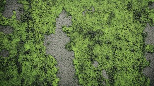青苔脱落水泥背景