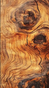 高清木材剖面纹理