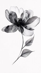 黑白素雅花卉