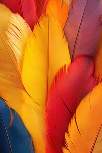 五彩树叶背景实拍