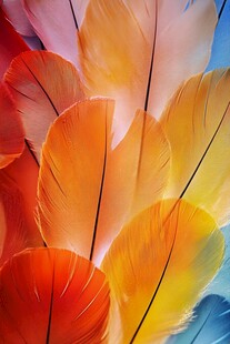 高清仿真花瓣