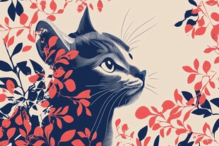 猫咪海报插画