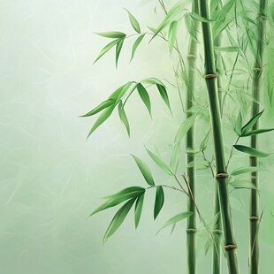竹林竹叶背景墙