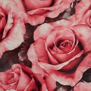 春日绚丽炫丽温柔玫瑰