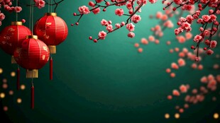 灯笼梅花背景图