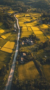 水稻田山水航拍