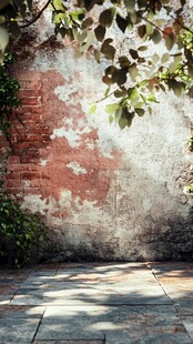 闽南条石红砖墙壁树影