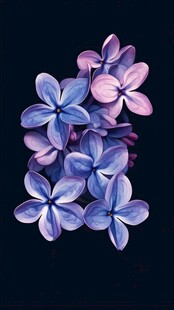 3d立体简约花