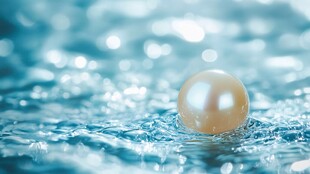 海水珠