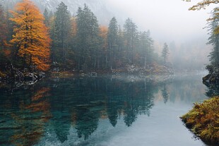 蓝色湖水多彩森林