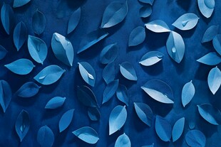 蓝色颜色创意叶脉纹理