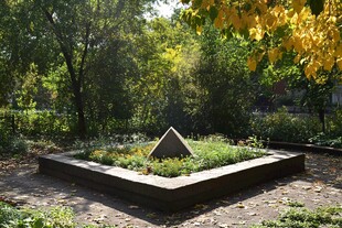 俄罗斯植物研究所