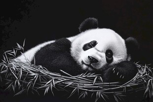 艺术画大熊猫