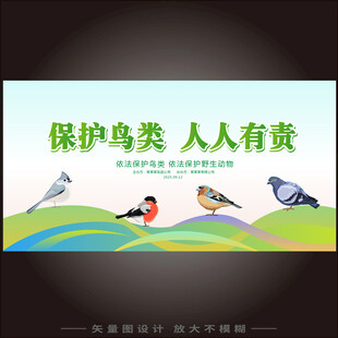 保护鸟类