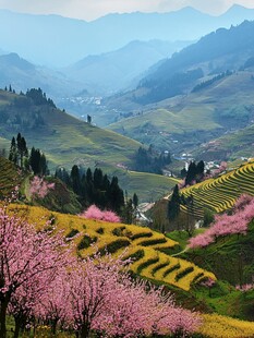 源东桃花田园风光