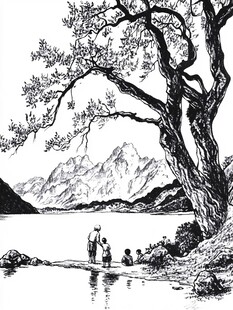 新西兰插画线稿水墨