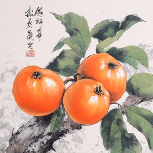 手绘柿果图